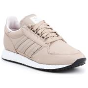 Lage Sneakers adidas Adidas Forest Grove EE8967