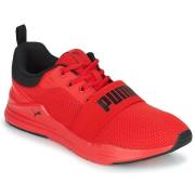 Lage Sneakers Puma WIRED