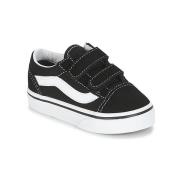 Lage Sneakers Vans OLD SKOOL V