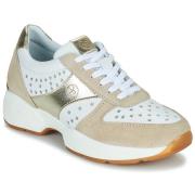 Lage Sneakers Fericelli LAGATE
