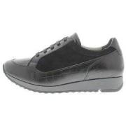 Sneakers Jj Footwear Aria H
