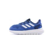 Lage Sneakers adidas -