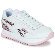 Lage Sneakers Reebok Classic REEBOK ROYAL CLJOG