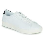 Lage Sneakers Ellesse Pulito Cupsole