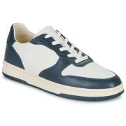 Lage Sneakers Clae MALONE