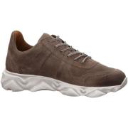 Nette Schoenen Lloyd -