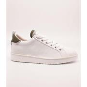 Sneakers Panchic -