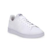 Sneakers adidas ADVANTAGE BASE