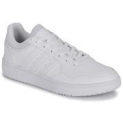 Lage Sneakers adidas HOOPS 3.0