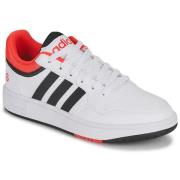 Lage Sneakers adidas HOOPS 3.0 K