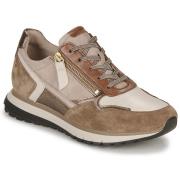 Lage Sneakers Gabor 3637855