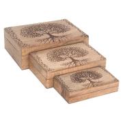 Manden en dozen Signes Grimalt Life Tree Boxes 3 U