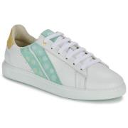 Lage Sneakers Caval SLASH