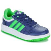 Lage Sneakers adidas HOOPS 3.0 K