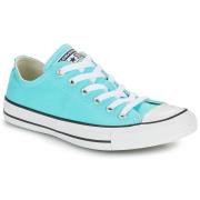 Lage Sneakers Converse CHUCK TAYLOR ALL STAR