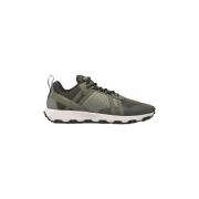 Sneakers Timberland WINSOR TRAIL LOW LACE UP