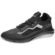 Fitness Schoenen Ecco -