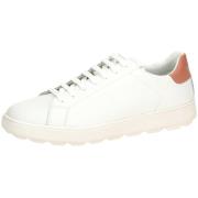 Sneakers Geox -