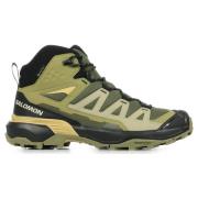 Wandelschoenen Salomon X Ultra 360 Mid Gtx