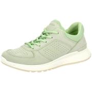 Nette Schoenen Ecco -