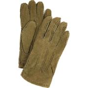 Handschoenen Laimbock Suede Handschoen Penryn Olive