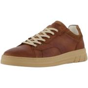 Nette Schoenen Bullboxer -