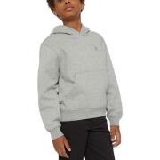 Sweater Dickies -