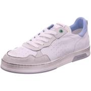 Lage Sneakers Womsh -