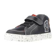 Sneakers Garvalin 221336G