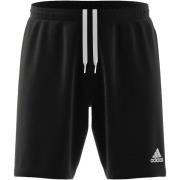 Korte Broek adidas Ent22 Tr Sho