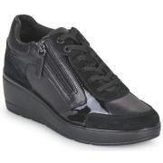 Lage Sneakers Geox D ILDE