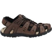 Sandalen Geox Wandelschoenen