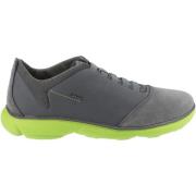 Lage Sneakers Geox Sneaker