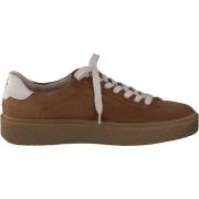 Lage Sneakers Paul Green Sneaker