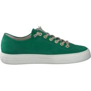 Lage Sneakers Paul Green Sneaker