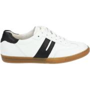 Lage Sneakers Paul Green Sneaker