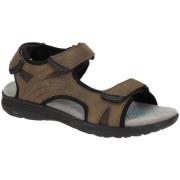 Wandelschoenen Geox -