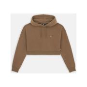 Sweater Dickies OAKPORT CROPPED HOODIE