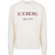 Sweater Iceberg -