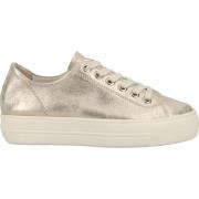 Lage Sneakers Paul Green Sneaker