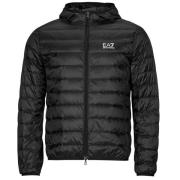 Donsjas Emporio Armani EA7 CORE IDENTITY DOWN JACKET HD