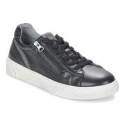 Lage Sneakers NeroGiardini I400430U-100