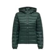 Mantel Only Noos Tahoe Hood Jacket - Scarab