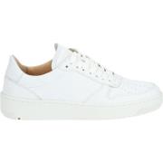 Lage Sneakers Lloyd Sneaker