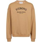 Sweater Iceberg -