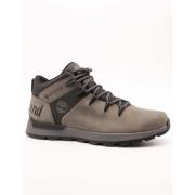 Hoge Sneakers Timberland -