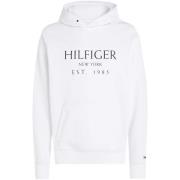 Sweater Tommy Hilfiger MW0MW35523