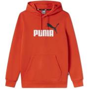 Fleece Jack Puma -