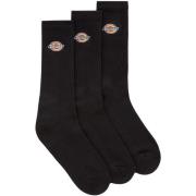 Socks Dickies Valley Grove