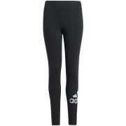 Legging adidas G Ml Tig